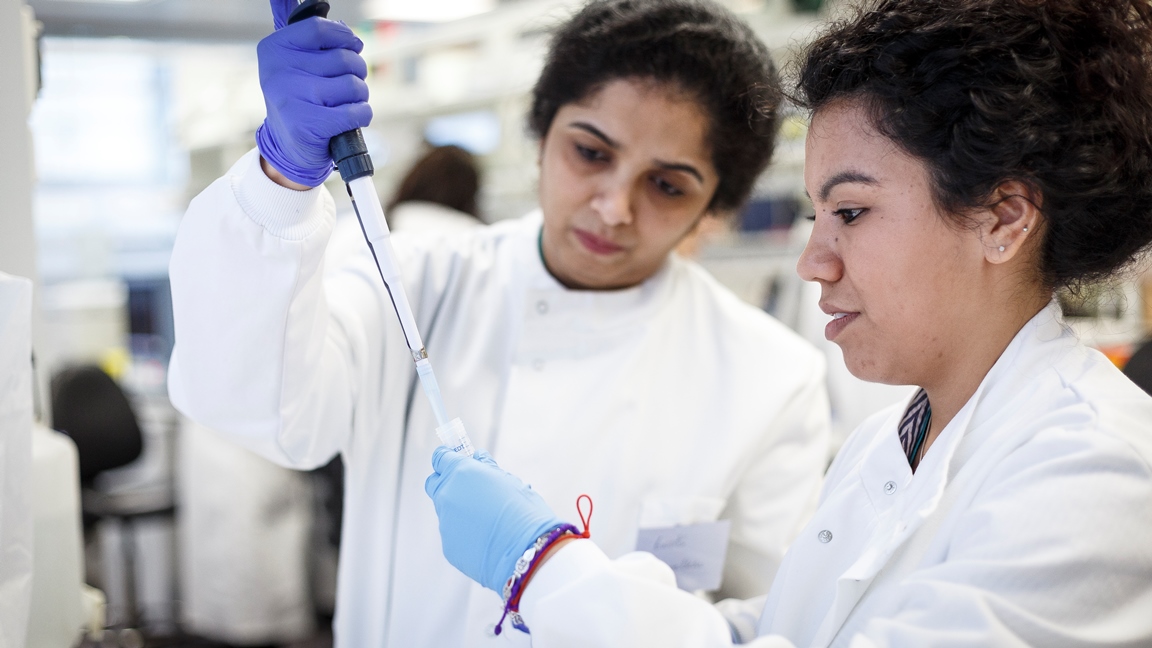 Clinical Embryology students during a practical session as part of our full time masters course.