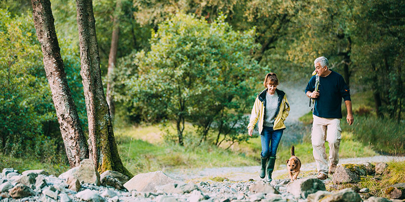 Image of a couple waling through the woods with a dog.