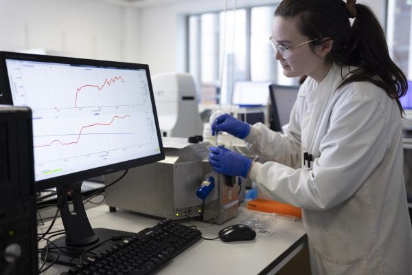 Researcher at a screen