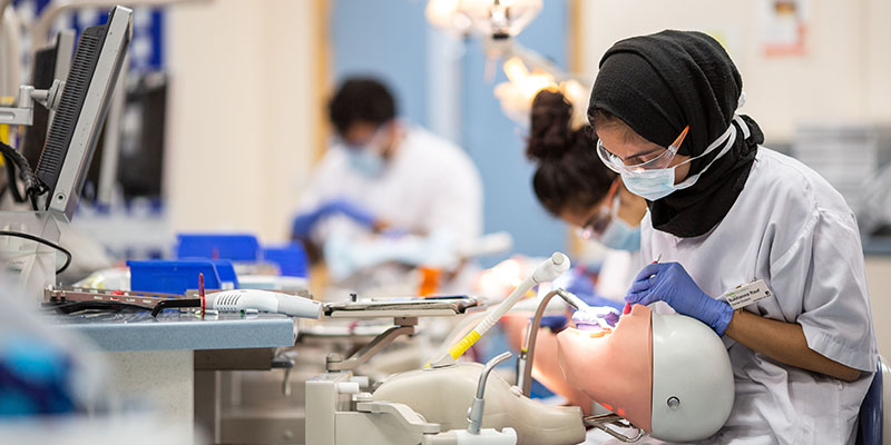 Image representing an undergraduate dentistry student in the clinical suite at the University of Leeds
