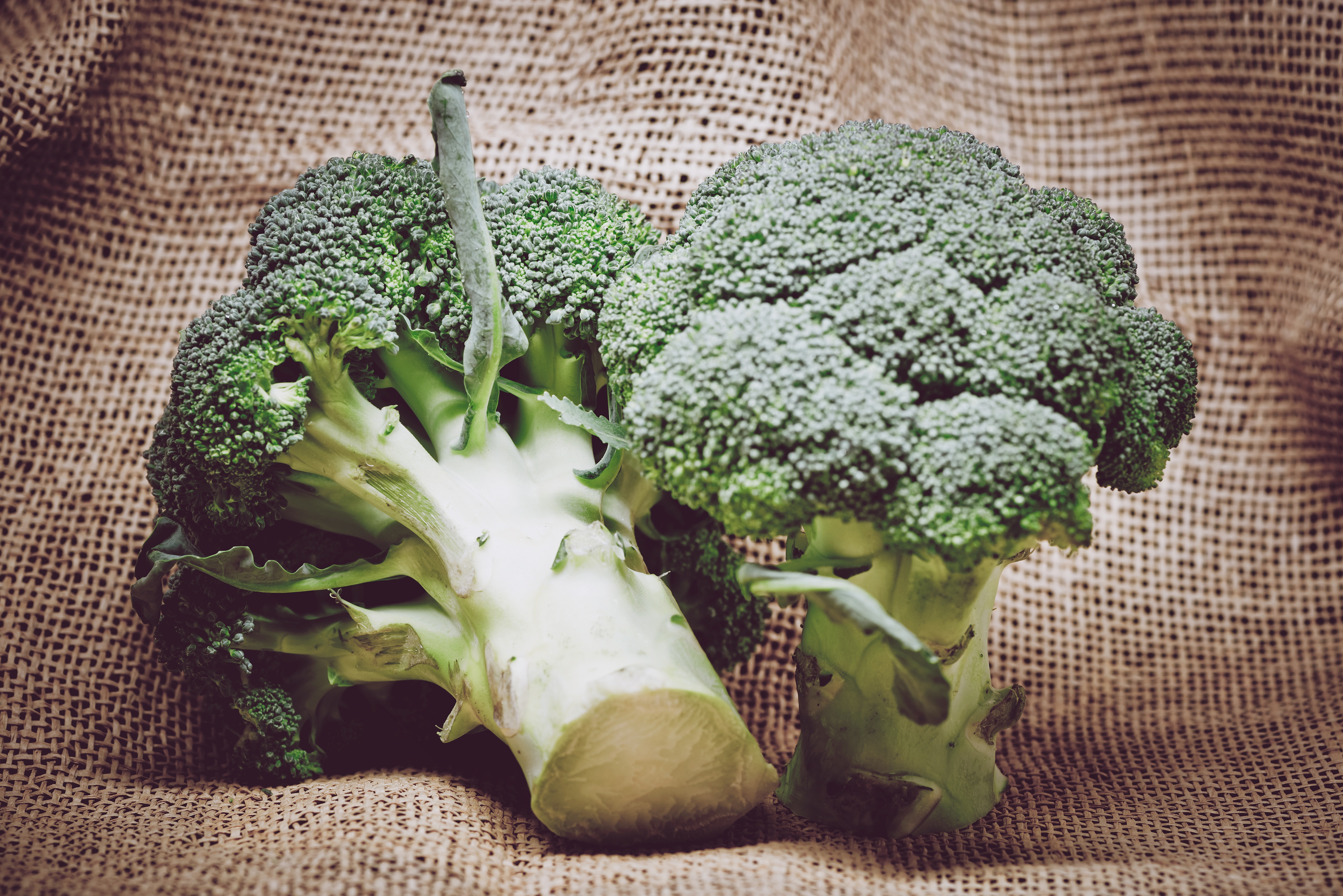 Broccoli lovers wanted for osteoarthritis trial 