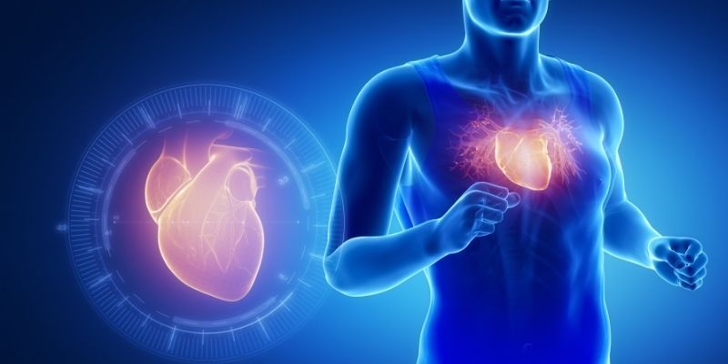Investigating how scarred hearts affect athletes