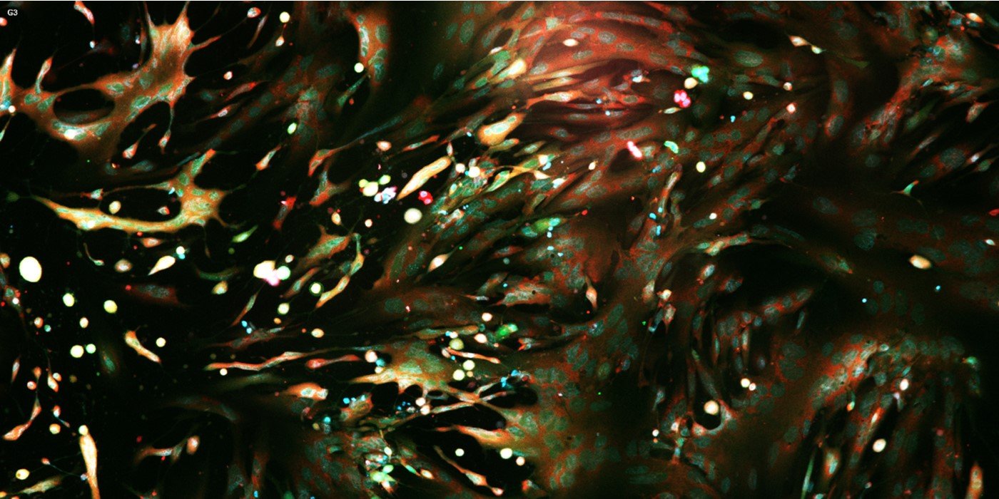 HAIM 1400x700 Banner 2