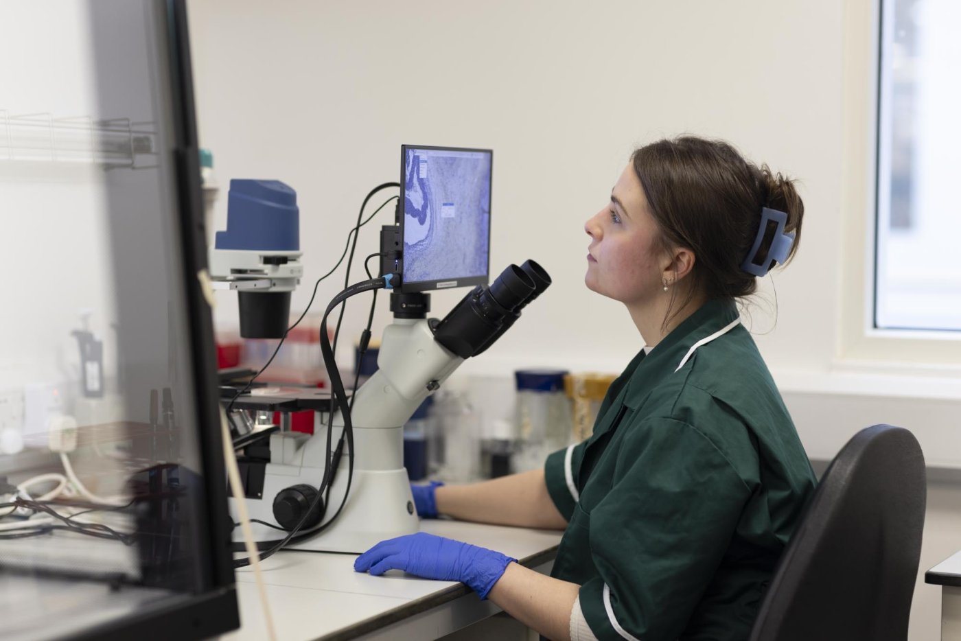 Woman looking at scan on a screen