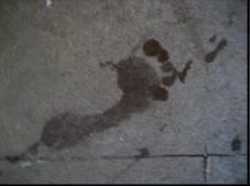 Concrete with a wet footprint