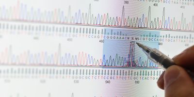 Research image DNA peaks 2x1