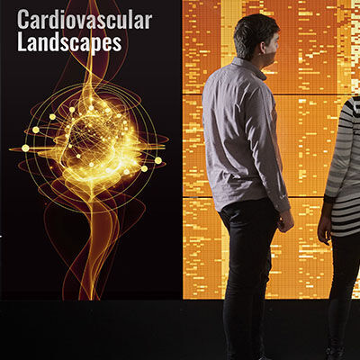 Cardiology epidemiology powerwall 800