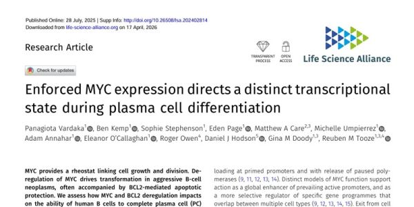 HAIM Papers Transcriptional reprogramming 800x400