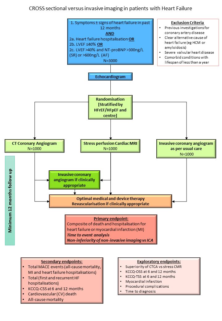 Cross-HF  flowchart