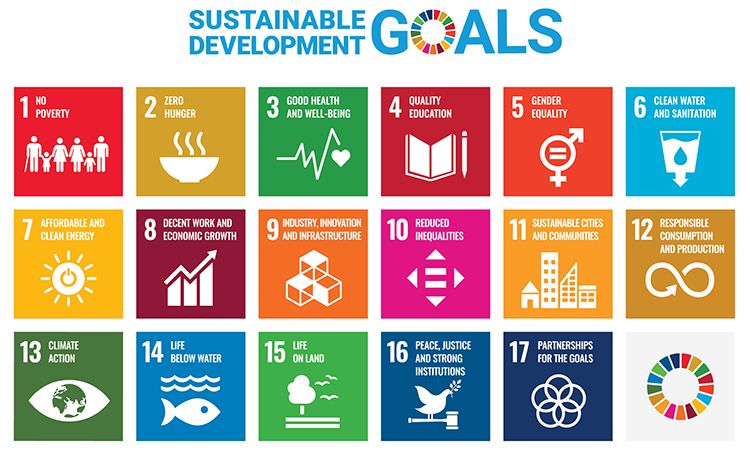 A colourful infographic highlighting the sustainable development goals