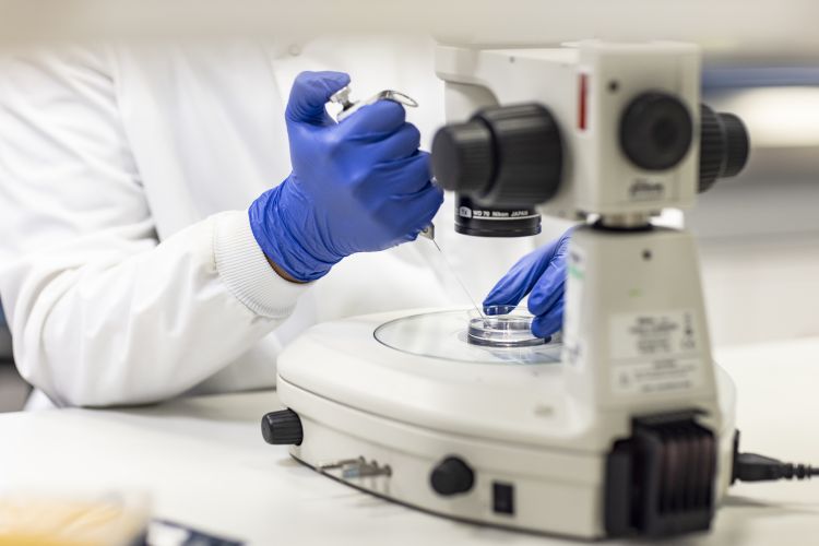 Lab equipment in use