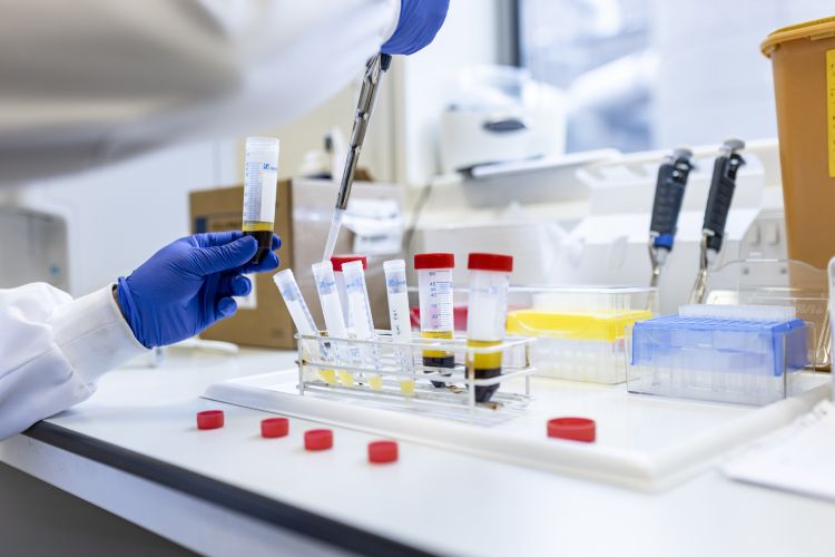 series of test tubes being filled 