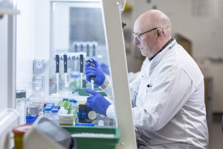 male researcher testing samples