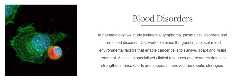 HAIM research theme 3