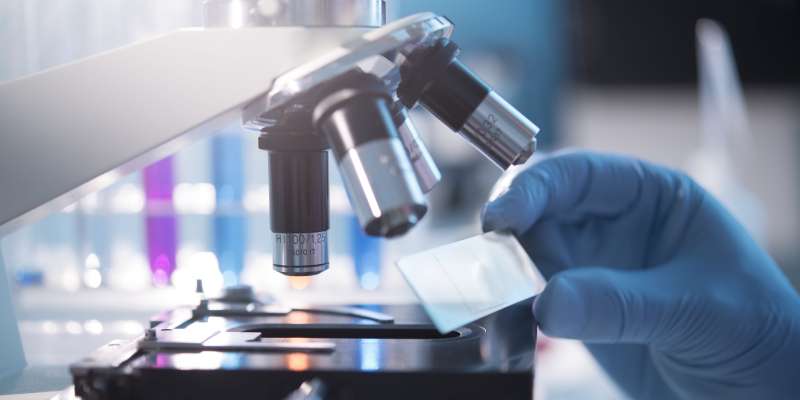 Specimen being placed under microscope