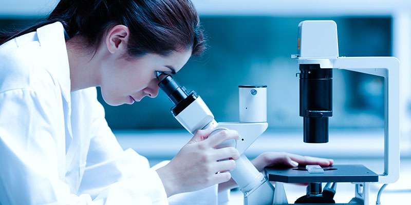 researcher at work looking through microscope